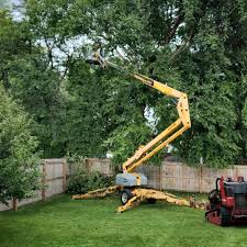 Best Palm Tree Trimming  in Northvale, NJ