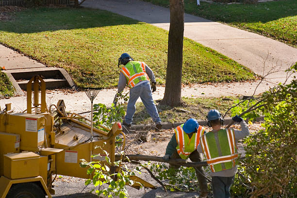 Best Lawn Grading and Leveling  in Northvale, NJ